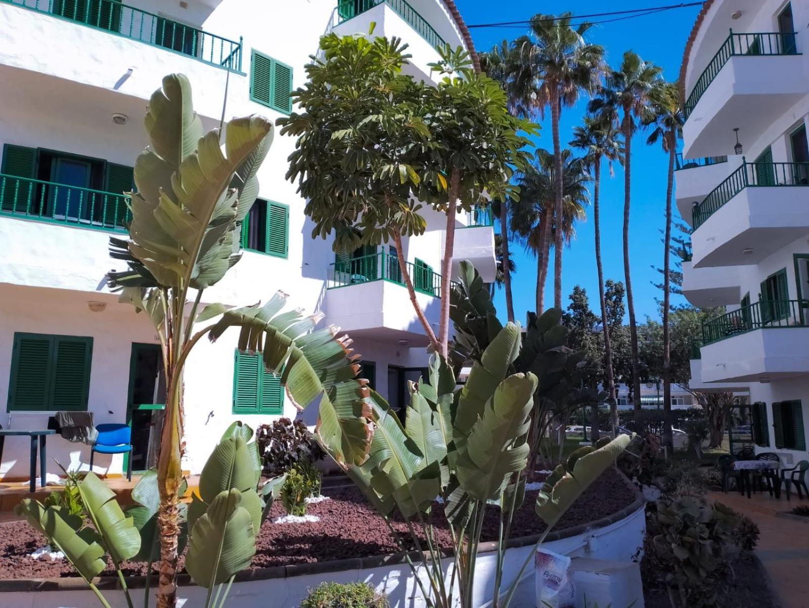 Canarian Havaii En Faluas Playa del Inglés Eksteriør bilde